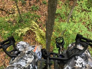 jonathan-in-tree-stand-bow-hunt-oct-2016